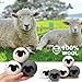 Teenyyou 7 Pack XL Wool Dryer Balls Set 6 Essential Oils Dryer Balls with Cute Sheep with Muslin Bags Reusable Wool Balls Natural Laundry Balls Anti Wrinkle Anti Static Saving Energy and Time