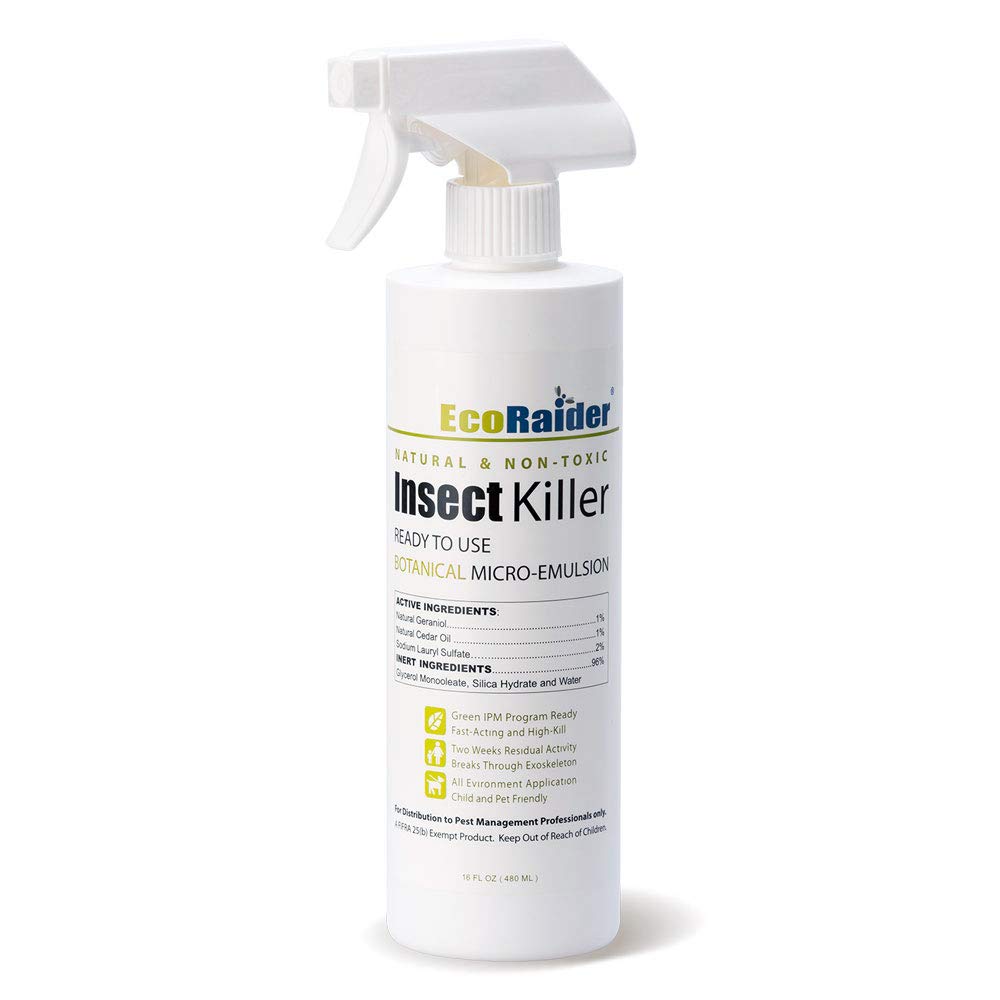 Buy EcoRaiderProfessional Grade All Purpose Insect Killer RTU (Ready to ...