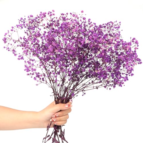 Dried Baby's Breath Flowers Bouquet Natural Dried Flowers Baby's Breath Real Gypsophila Branches for Wedding Table Vase Party Garden DIY Wreath Floral Home Decor(Purple)
