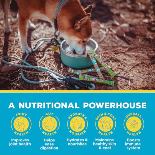 Image of Brutus Bone Broth for Dogs - Bone Broth Powder with Chondroitin Glucosamine & Turmeric - Human Grade Food Toppers for Dry Food & Picky Eaters - 5 Stick (Beef)