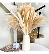Quadro Decorativo Erba Di Pampa Boho - Set Di 2 Immagini - Pronto Da Appendere, Stampa Su Tela Non Tessuta, Made In Germany