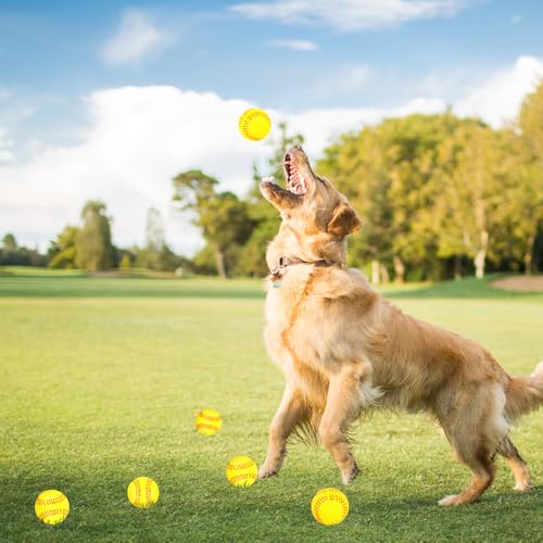 image for Hxezoc 20 Pieces Mini Softball Stress Balls, Baseball Foam Sports Ball