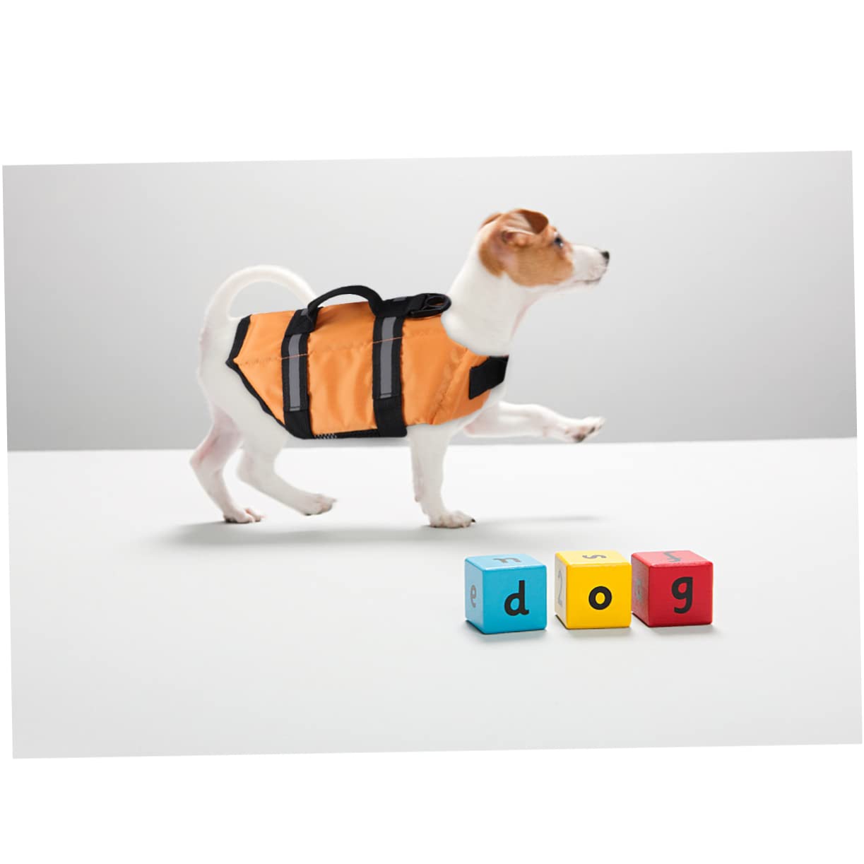 COLLBATH Dog Pet Life Breathable Texture Reflective Easy-on Buckles Ideal for Beach Pool Size Xs