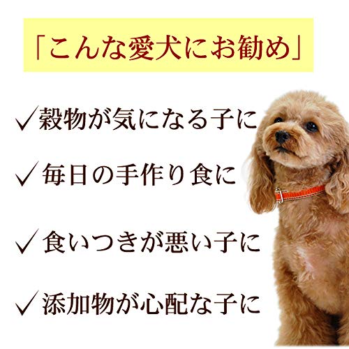 Amazon | テラカニス グレインフリー 仔牛とパセリの根 マンゴ