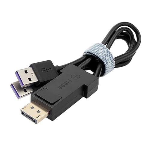FIBBR DisplayPort to USB C Cable Adapter with Double USB Power Supply, USB 3.2 Fast Speed 10Gbps Stable Transmission for PC Laptop Gaming Monitor VR Box Glass