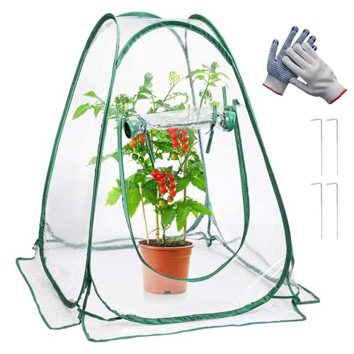 Pop-Up Folien Gewächshaus 70x70x80 cm,Überwinterungszelt für Pflanzen,Überwinterungszelt für Pflanzen wetterfest, Geeignet für Gemüse, Blumen und Pilze Pop-Up Folien Gewächshaus 70x70x80 cm,Überwinterungszelt für Pflanzen,Überwinterungszelt für Pflanzen wetterfest, Geeignet für Gemüse, Blumen und Pilze