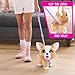 furReal Poop-A-Lots Corgi Interactive 8-inch Walking Plush Stuffed Animal, Pooping Puppy with Leash, 14-pieces, Kids Toys for Ages 4 Up by Just Play