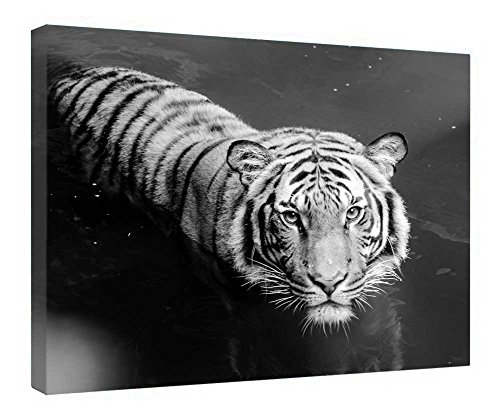 Toile tigre encadrée bois châssis premium pour salon élégant