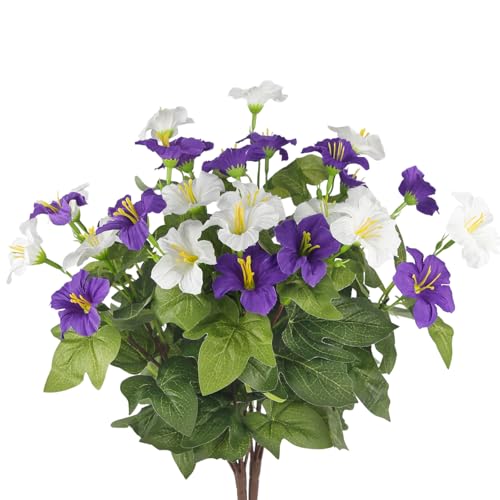 FRUNVS Petunias Outdoors