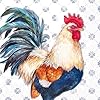 Ihr ideal home range cocktail napkins disposable 3 ply paper party napkin pack 5 x 5 albert rooster blue 20 count  urban country home decor