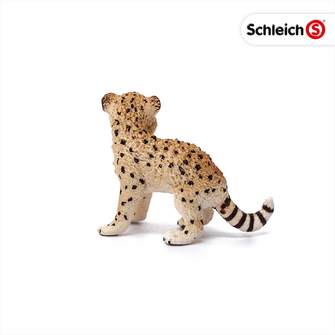 ！？ちゃび NEW PRODUCT CHIBI ZX | INFORMATION | trout nories