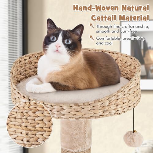 Árbol para Gatos Moderno Tangkula 65 Pulgadas con Rascadores y Cama miniatura 6
