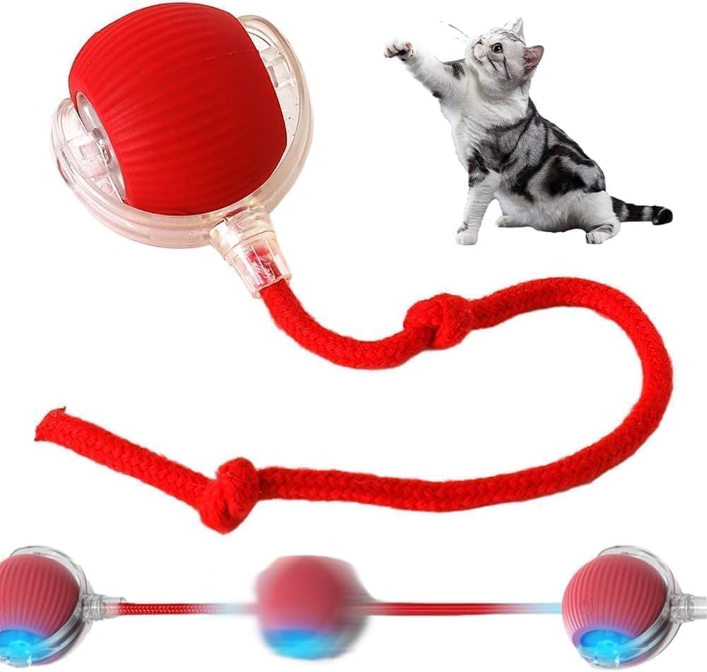 Rechargeable Interactive Cat Toys Ball,Self Moving Dog Toys,2026 New Interactive Rolling Dog Ball, 360° Smart Automatic Rolling Ball Toy,Electric Dog Balls for Dogs & Cats (Red)