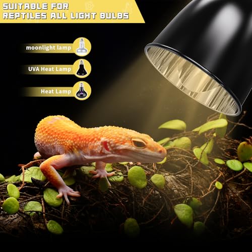 Kweetle REPTILE LIGHT FIXTURE With Thermostatic Timer, 5.5 Inch Deep Dome Reptile Lamp Fixture Timer Reptile Heat Lamp Fixture thumb #1