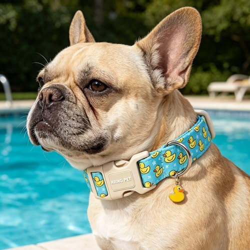 Image of ARING PET Summer Dog Collar for Puppy Small Medium Large Dog-Blue Duck XL