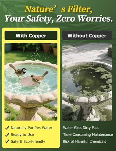 Image of Mellbree 3-Pack Bird Bath Copper Disc, 0.6mm Reinforced 99.99% Pure Copper Cleaning Disk with Triple-Point Support for Physical Safe Clean Water All-Season