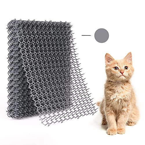 10 Best Scat Mat For Cats