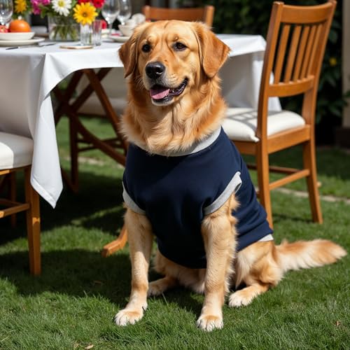 Image of JoyDaog Cozy Dog Winter Coat Blue Color 14 Inch(S)- inchAttitude Mera Khandani Hai inchPrinted Soft Cotton Trendy Apparel for Small Breeds | Indoor & Outdoor