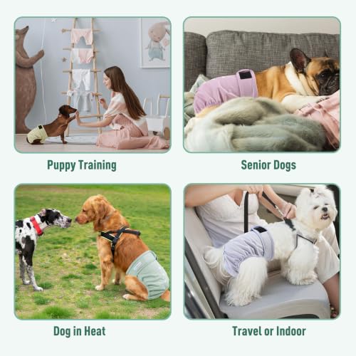 Image of Langsprit Female Dog Diapers for Doggie Puppy,Reusable Dog Period Diapers Female for Heat Peeing,Small Medium Large Doggy Diaper Washable,Dogs Pants 5 Pack, Pastel Colors, Small