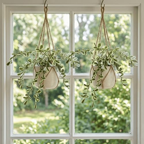 Image of Dekorly 2 Pack Artificial Plants Artificial Hanging Plants Faux Eucalyptus Leaf Greenery Fake Hanging Eucalyptus Plant (Green) (1, White and Green)