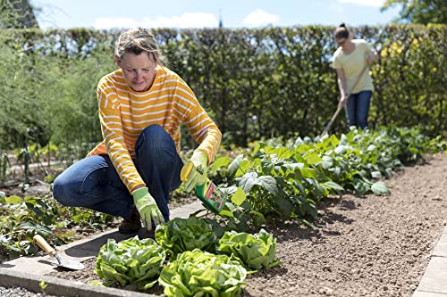 Neudorff - Spruzit AF Schädlingsfrei. Wirkt zuverlässig gegen Schädlinge wie Schildläuse, Weiße Fliege, Woll- und Schmierläuse und andere Schädlinge – Bild 4