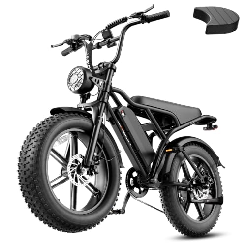 Jasion RetroVolt Electric Bike for Adults, 2000W Peak Motor, 30MPH E-Bike