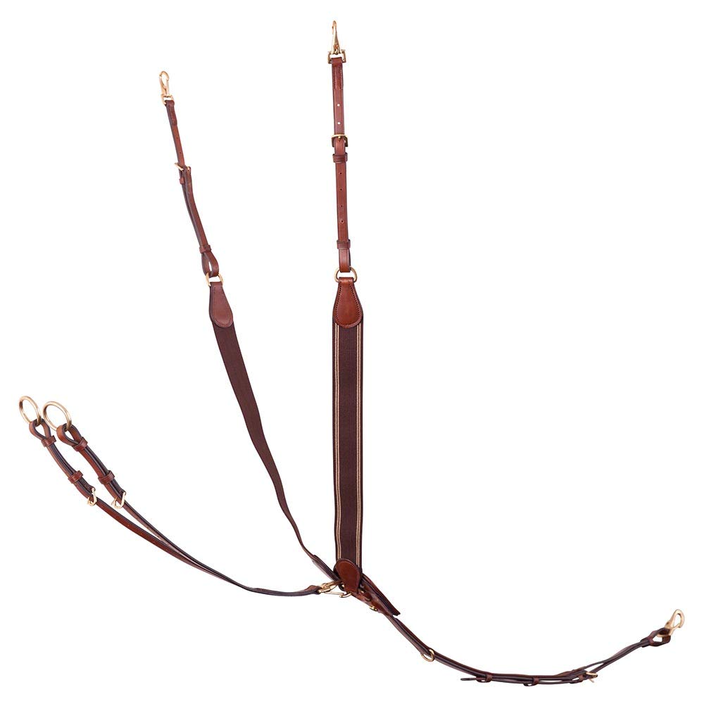 BR Vorderzeug Taunton, Tobacco, Viele Einstellmöglichkeiten, Martingalgabel aus Leder, Halsteil Sehr Elastisch, Weich Gepolstert