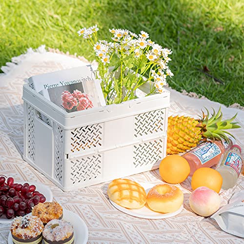 Caisse pliante avec poignée lot de 2 : panier plastique pliable - 3