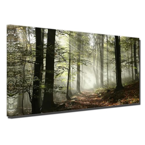 Nature Trees Plant Office Bedroom Home Canvas Wall Art Misty