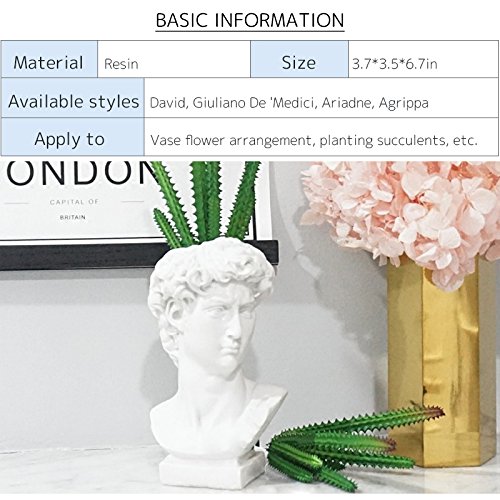 Creation Core Indoor Outdoor Heads Planter Resin Succulent Planter Vase Greek Statue Planter Urn Home Garden Decor Sculpture 6.7" H, Face #TOP2