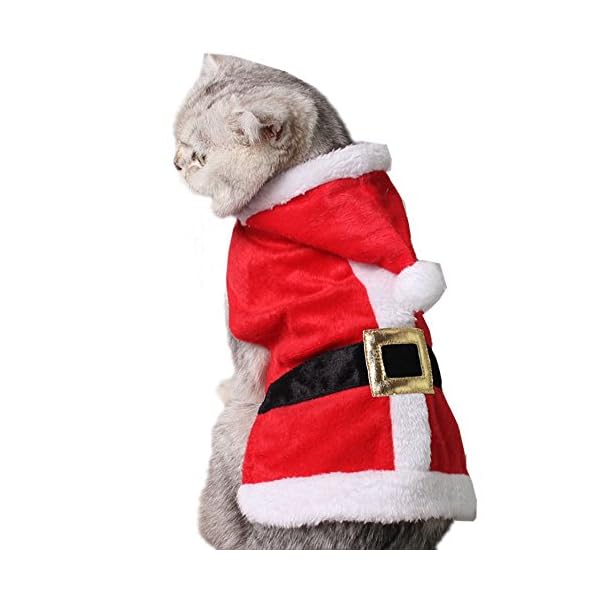 Bolbove pet christmas santa claus suit costume with hat for cats puppies