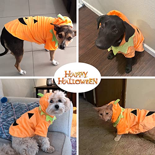 Disfraz de Calabaza para Perro Medium miniatura 2