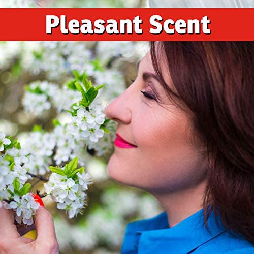 I Must Garden Deer Repellent Special [32oz Concentrate + 32oz Ready-to-Use Spray] - Natural Mint Scent - Thumbnail 7