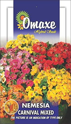 Nemesia Carnival Mixed Flower Seeds Kitchen Garden Packet-image-39
