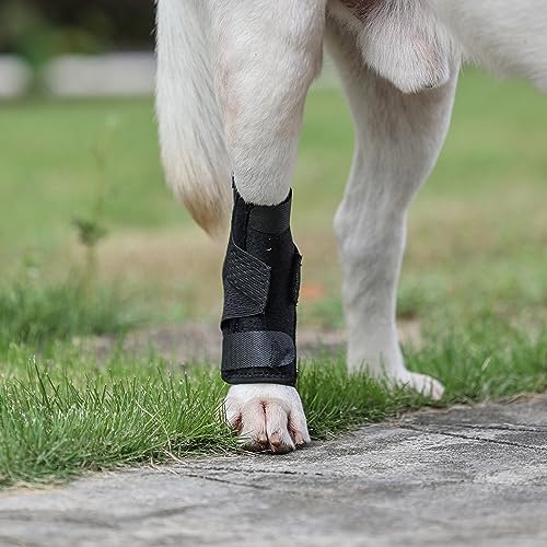 Image of (S /M) Dog Leg Brace for Back Leg, Canine Hock Brace for Legs, Joint Warps Strong Support Help for Hind Leg Injuries Sprains Arthritis
