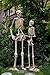 Crazy Bonez Pose-N-Stay Halloween Skeleton, 6 FT – Life-Size, Realistic, Fully Poseable Indoor & Outdoor Decoration, Durable Weather-Resistant Spooky Prop for Yard, Porch, Haunted House