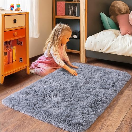 Small Rugs for Bedroom, Fluffy 2x3 Rug Throw Non Slip for Bedside Dorm Kids Room, Plush Comfy Shag Carpet for Home Decor Aesthetic, Grey