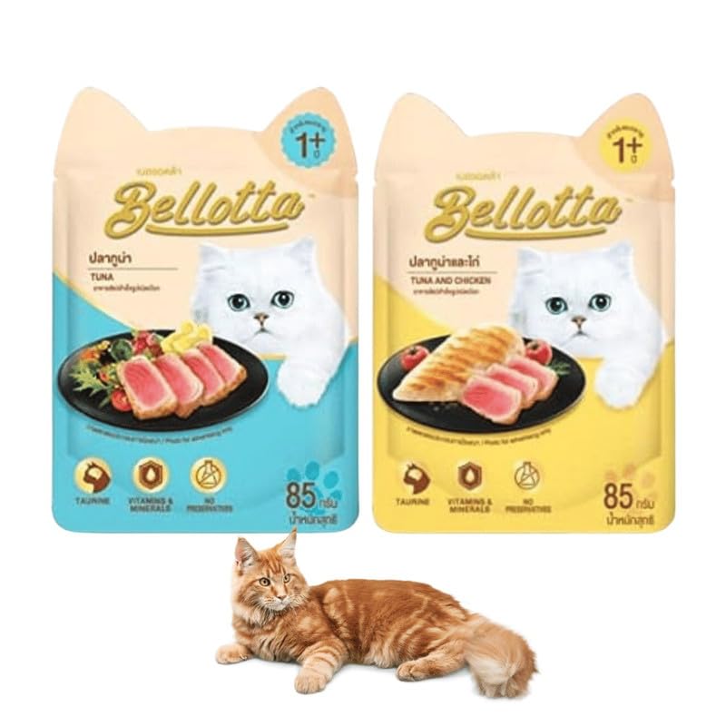 Bellotta Tuna and Chicken 24 | Tuna 24 Food for Cats and Kittens (Pack of 48) (B0CK2PSC2Q) Amazon Price History, Amazon Price Tracker