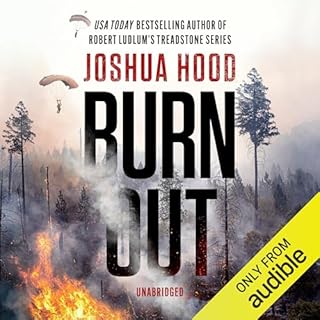 Burn Out Audiolibro Por Joshua Hood arte de portada