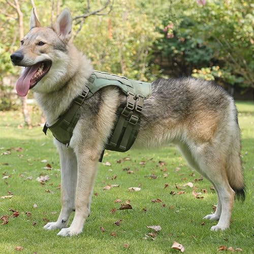 Peitoral tático para cães, de nylon, para cães de trabalho militar, sem puxar, médio e grande, para