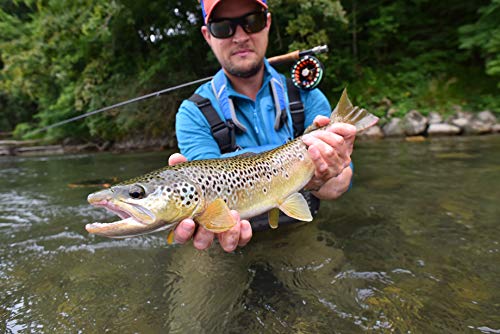 Ventures Fly Co. | Blue Wing Olive Baker’s Dozen Pack | 13 Premium Hand-Tied Fly Fishing Flies | Water-Proof Fly Cup Included | Dry Flies Perfect for Trout, Bass, Panfish, Bluegill, and More! - Thumbnail 3
