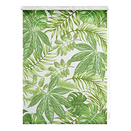 Lichtblick Klemmfix Tageslicht-Rollo mit Motiv, ohne Bohren, Blickdicht, Seitenzugrollo, Made in Germany, Blätter - Grün 90 cm x 150 cm (B x L)