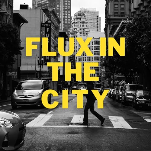 Page de couverture de Flux in the City