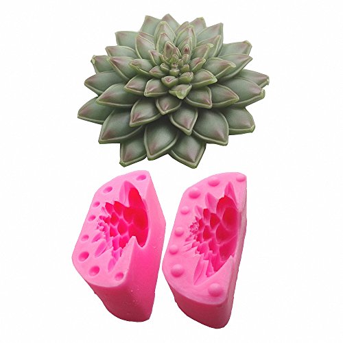 Succulent Plants Fondant Mold - MoldFun Succulents Silicone Mould for Candle, Soap, Wax, Crayon