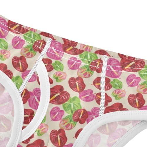 Boys' Exclusive Briefs Toddler Underwear 95% Combed Cotton Boxerbriefs 2T Anthurium Pattern 574