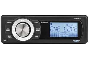 Aquatic AV Harley Davidson Radio