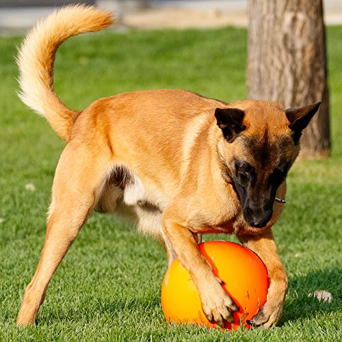 Doggie Dooley Virtually Indestructible Best Ball for Dogs, 10-inch, Red - Thumbnail 6