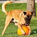 Virtually Indestructible Best Ball for Dogs, 10-inch