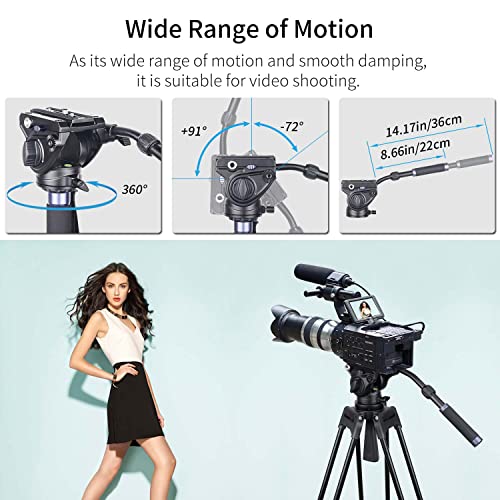 Image of Innorel Heavy Duty Tripod Fluid Head- F80 Drag Pan Cameras Video Fluid Head With 1 4 And 3 8 In Screws Sliding Plate Cnc Professional Panoramic Max Load 26.5Lb 12Kg For Dslr Camcorders Shooting Film