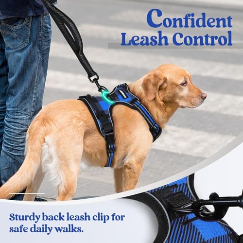 Image of rabbitgoo Dog Harness No-Pull, Comfortable Padded Plaid Harness with Handle Easy Control, Adjustable Reflective Pet Vest with 2 Leash Clips for Small Dog, Blue Plaid, S